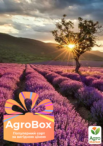 Ексклюзив! AGROBOX з саджанцем прекрасної декоративної рослини