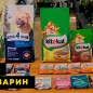 Корм сухой ЛолоПетс Полнорационный корм для декоративных крыс ведро 1.9 кг (7156160) купить