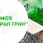 Норвезька мох стабілізований "Білий" 500 г