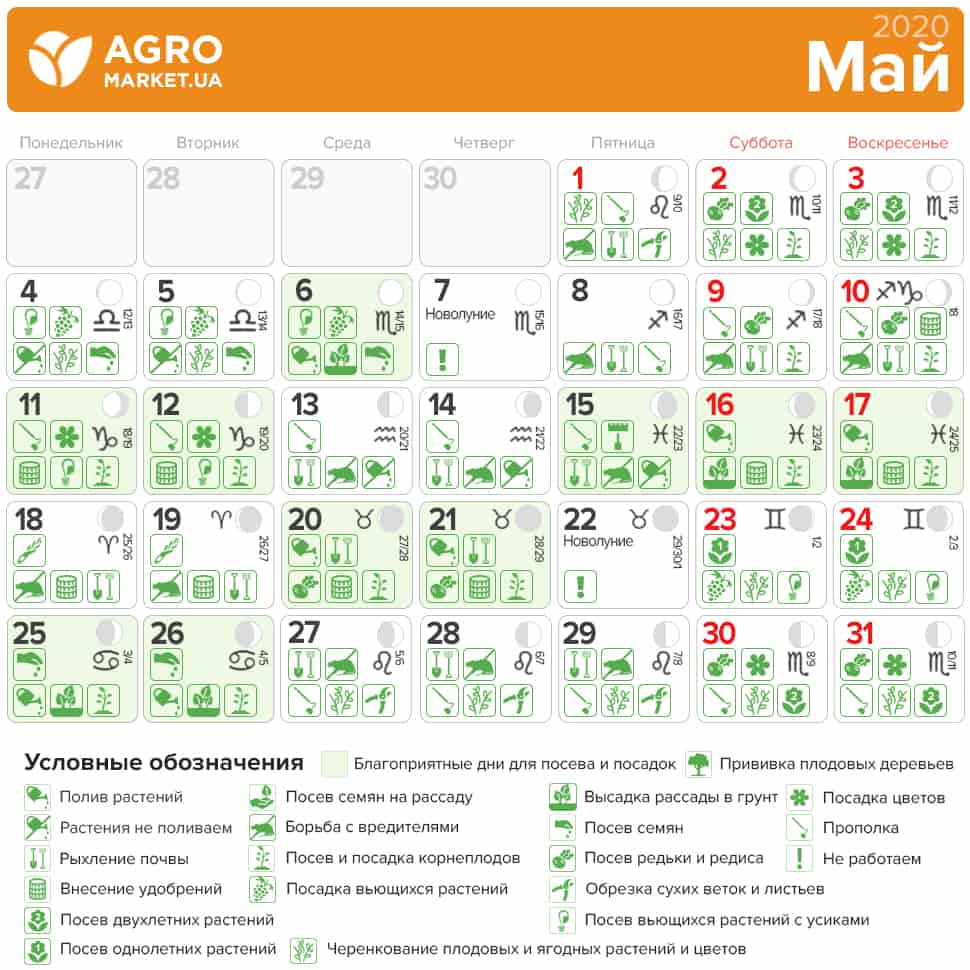 Дни поездки в мае благоприятные. Посевной календарь на февраль. Лунный календарь на февраль 2020. Лунный календарь огородника на февраль. Лунный календарь на февраль посевной.