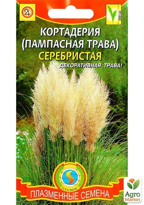 Пампасная Трава Семена Фото