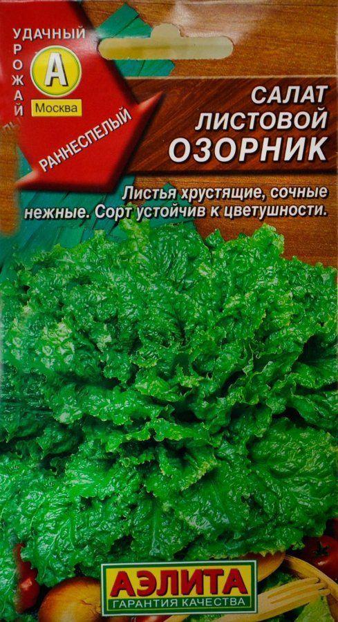 семена салат аэлита