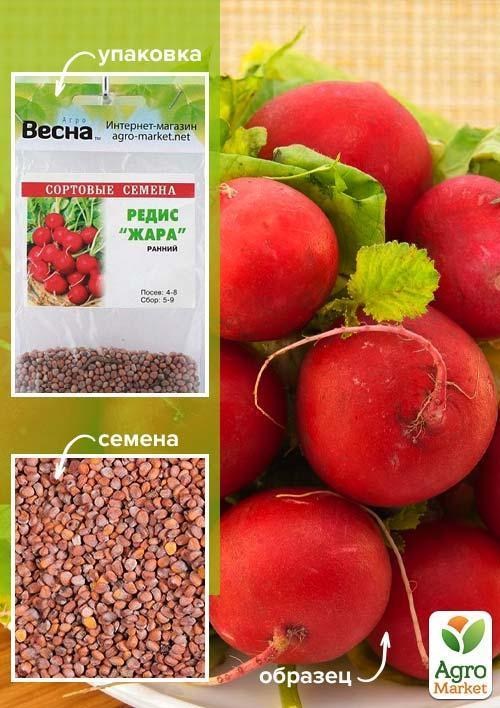 Редис "Жара" (Зипер) ТМ "Весна" 7г купити поштою в Одесі, Києві ...