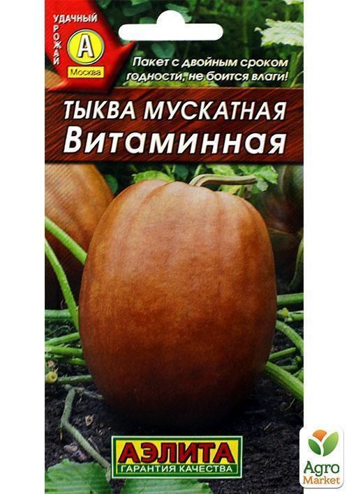 Тыква Витаминная Фото