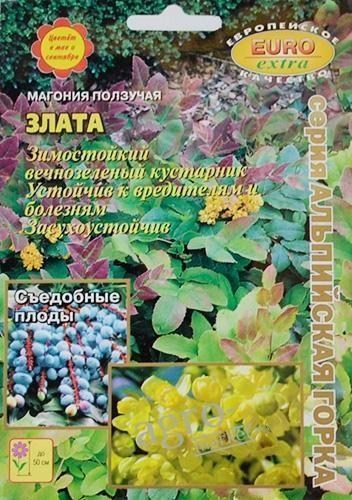 Кустарники Почтой Интернет Магазин