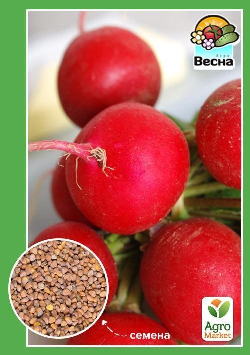 Редис "Чупа Чупс" (Новий пакет) ТМ "Весна" 2г купити поштою в Одесі ...