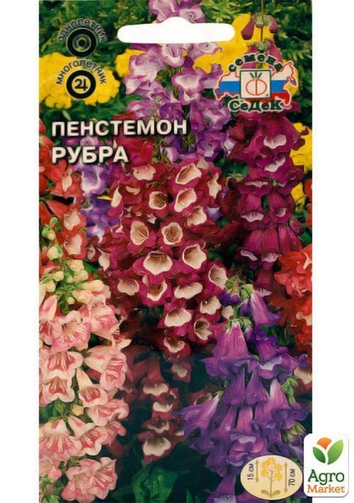 Купить Семена Пенстемона Многолетнего В Интернет Магазине