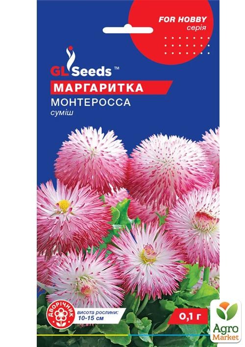 Маргаритки Семена Купить