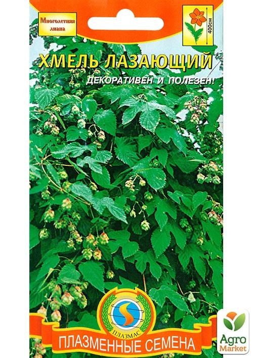 Семена Хмеля Купить В Интернет Магазине Многолетник