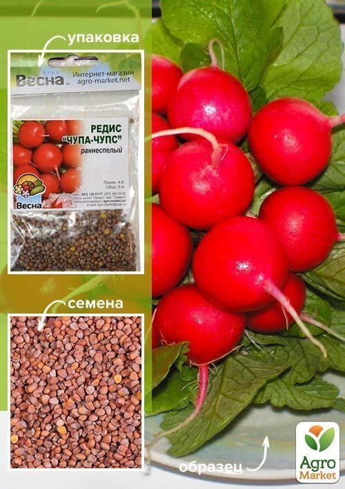Редис "Чупа-чупс" (Зипер) ТМ "Весна" 7г купити поштою в Одесі, Києві ...
