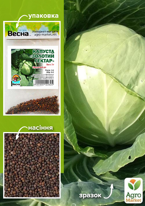 

Капуста Золотий Гектар (Зипер) ТМ Весна 3г