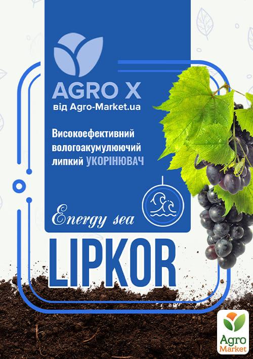 Липкий укорінювач нового покоління LIPKOR "Energy Sea" (Ліпкор) ТМ "AGRO-X" 1л