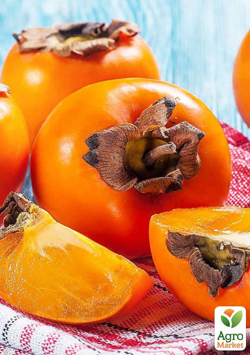 

Хурма на віргінській морозостійкій підщепі Медобора вищий сорт