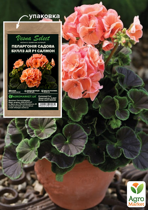 

Пеларгония садовая Буллз Ай F1 салмон ТМ Vesna Select 5шт