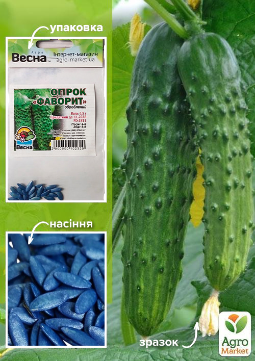 

Огірок оброблений Фаворит (Зипер) ТМ Весна 0,5г