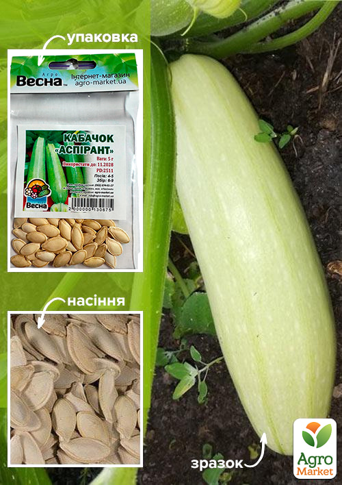 

Кабачок Аспирант (Зипер) ТМ Весна 5г