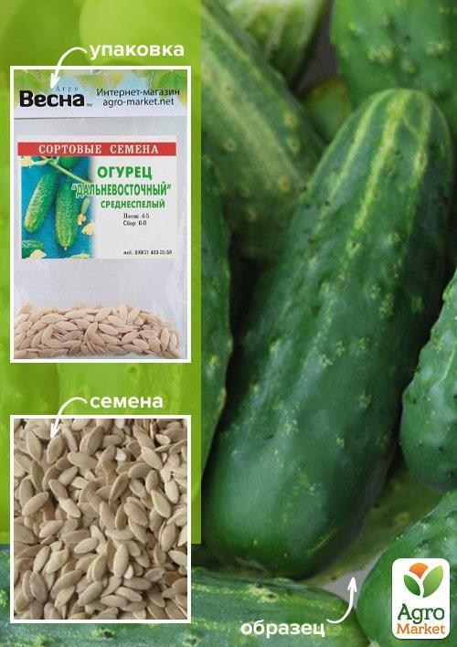 

Огурец Дальневосточный (Зипер) ТМ Весна 2г