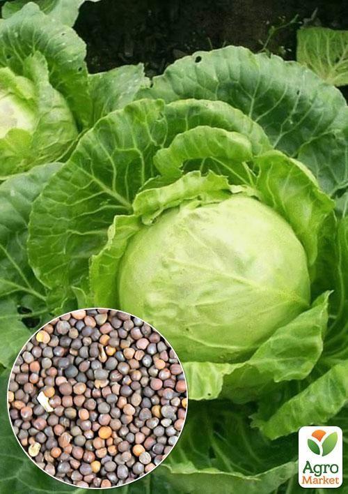 

На вагу Капуста Золотий гектар ТМ Весна ціна за 4г