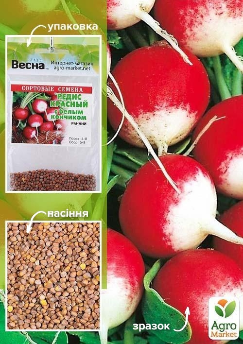

Редис Червоний з білим кінчиком (Зипер) ТМ Весна 7г