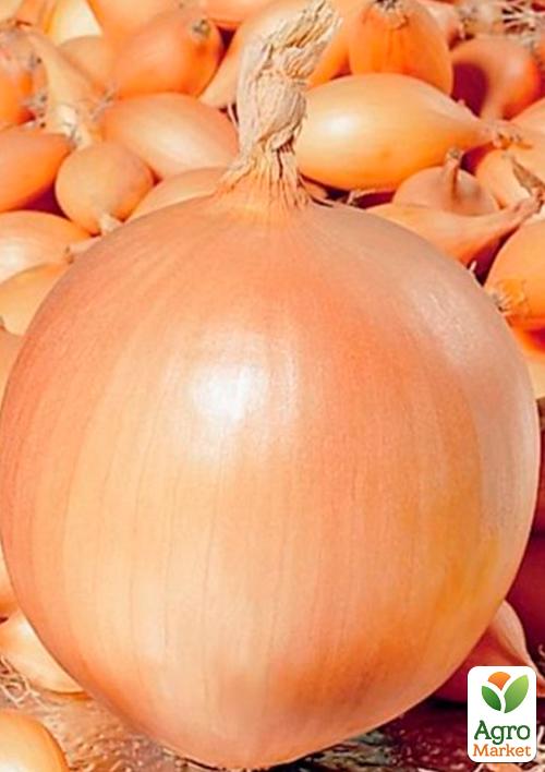 

Голландский лук-севок 0.5кг (арбажейка) ранний, желтыйВулкан