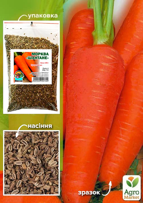 

Морковь Шантане ТМ Весна 100г