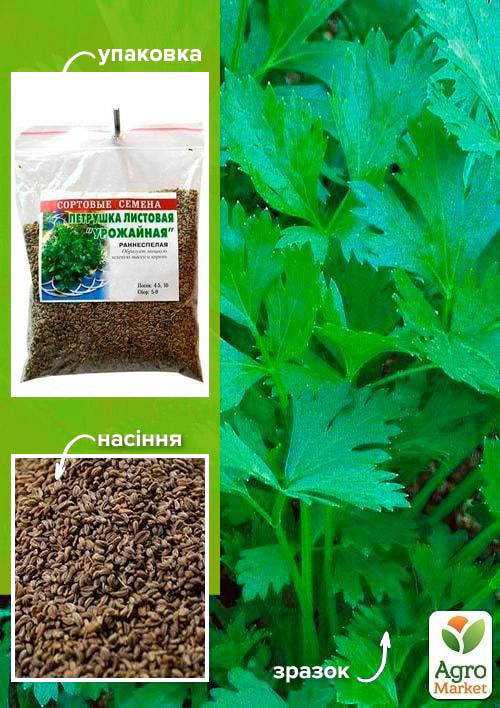 

Петрушка Урожайная ТМ Весна 100г