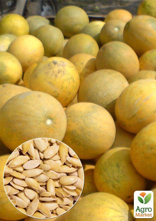 

На развес Дыня Берегиня ТМ Весна цена за 6г