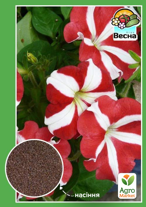 

Петунія Зорепад ТМ Весна 0.3г