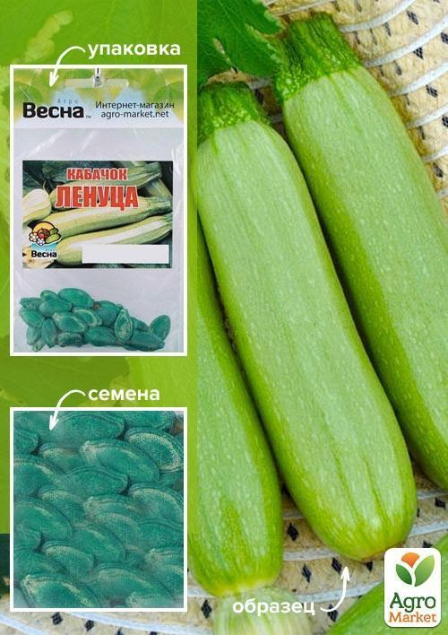 

Кабачок обработаный Ленуца (Зипер) ТМ Весна 2г