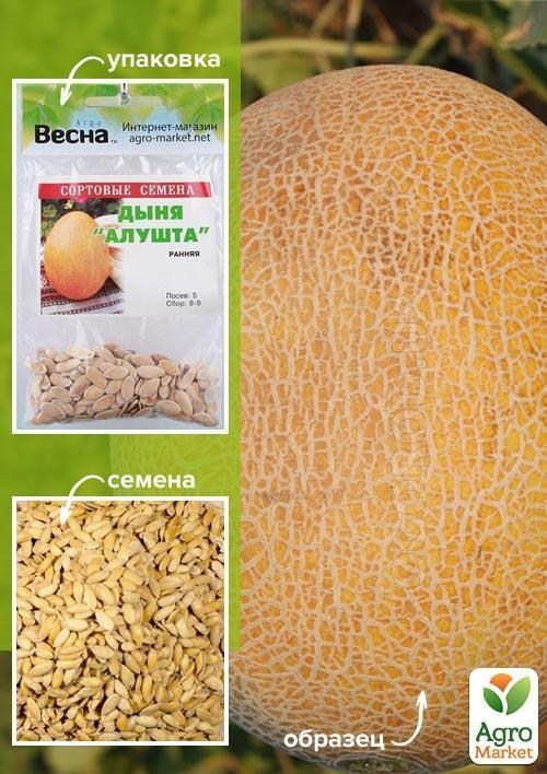 

Дыня "Алушта" (Зипер) ТМ "Весна" 3г