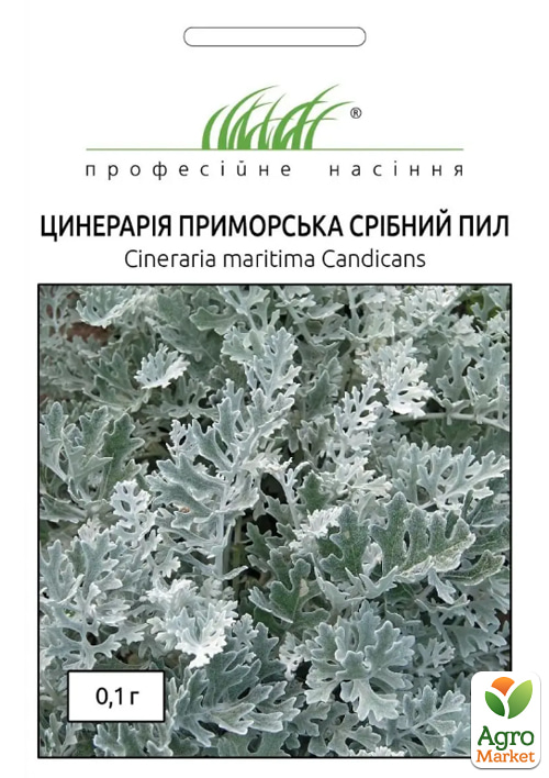 

Цинерарія приморська Срібний пил ТМ Професійне насіння 0,1г