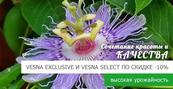 Акция на Vesna Exclusive и Vesna Select Акция на Vesna Exclusive и Vesna Select