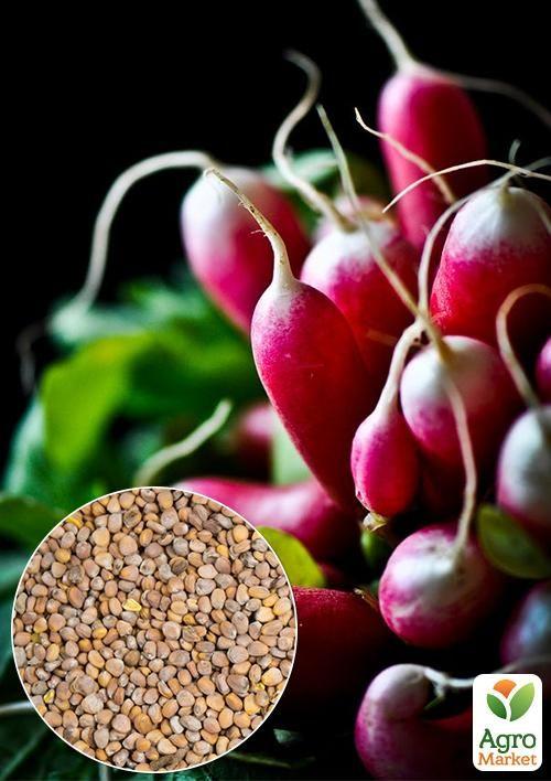 

На развес Редис Богиня ТМ Весна цена за 10г