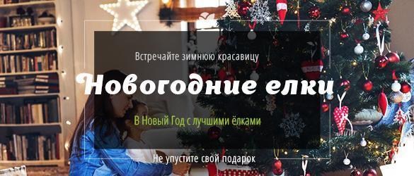 Новогодние елки с удивительным подарком специально для Вас Новогодние елки с удивительным подарком специально для Вас