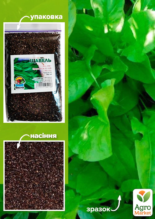 

Щавель ТМ Весна 100г