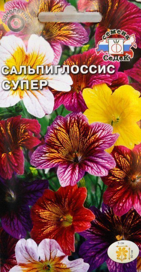 Сальпиглоссис Купить