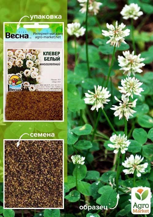 

Клевер Белый (Зипер) ТМ Весна 3г