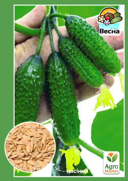 

Огурец Все пучком F1 (Новый пакет) ТМ Весна 0.25г