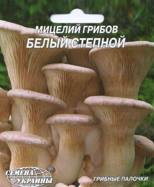 Белый степной гриб ТМ "Семена Украины" 10шт