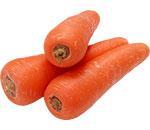 Голландське насіння моркви