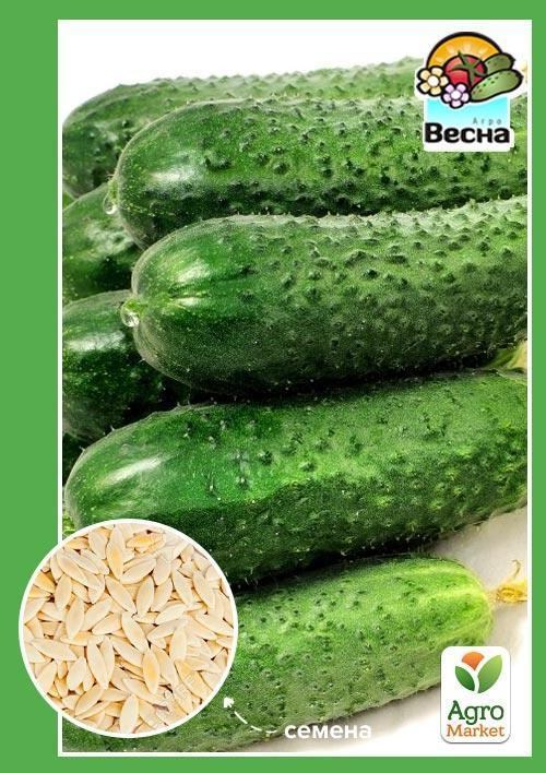 

Огурец "Рясный F1" ТМ "Весна" 0.5г