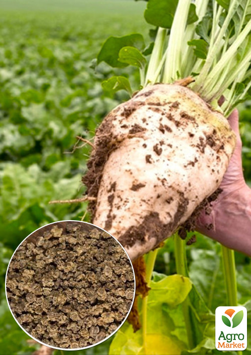 

На развес Свекла Сахарная ТМ Весна цена за 15г