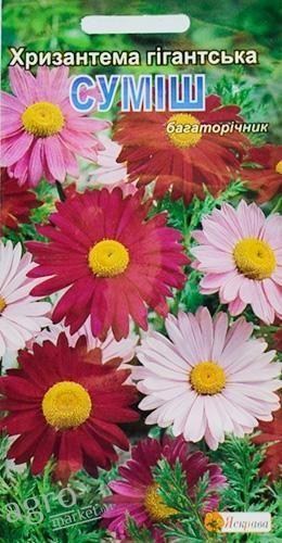 Хризантема суміш ТМ "Яскрава" 0.2г