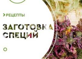 Заготівля пряних трав - корисні статті про садівництво від Agro-Market