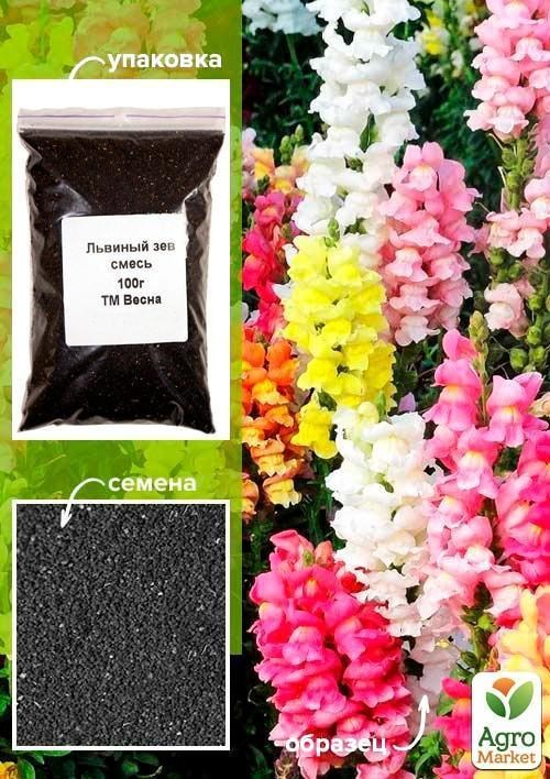 Львиный зев смесь ТМ "Весна" 100г