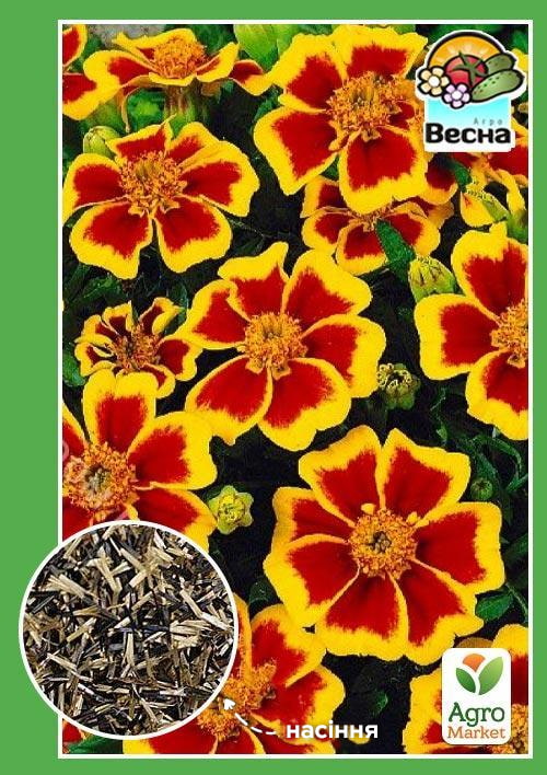 

Чорнобривці Бешкетна Марієтта ТМ Весна 0.3г