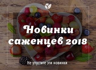 Новинки саженцев 2018 уже в продаже в Agro-Market.ua Новинки саженцев 2018 уже в продаже в Agro-Market.ua
