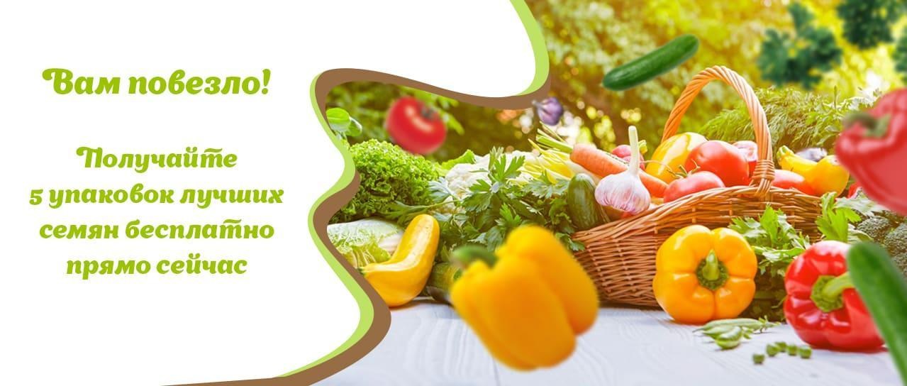 Акция! Семена овощей и цветов Акция! Семена овощей и цветов