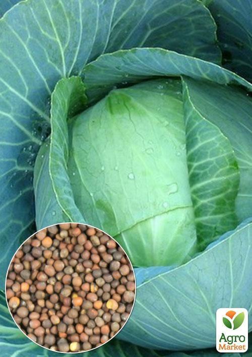 

На развес Капуста Харьковская зимняя ТМ Весна цена за 6г