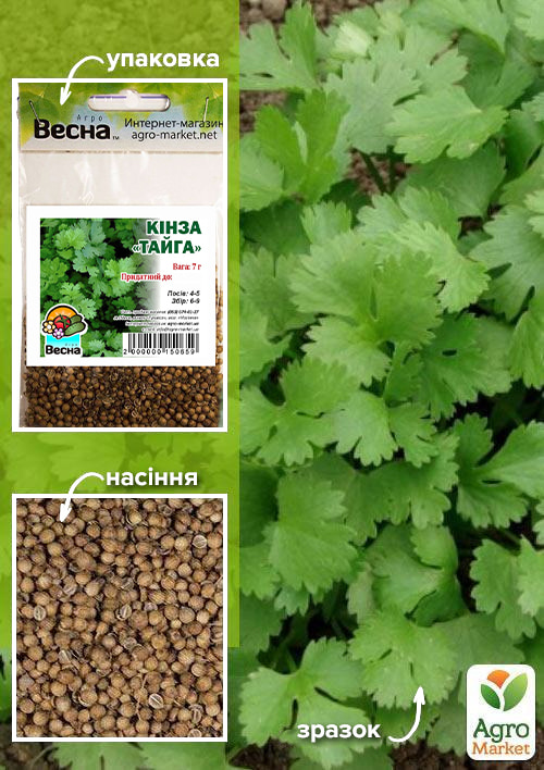 

Кінза Тайга (Зипер) ТМ Весна 7г